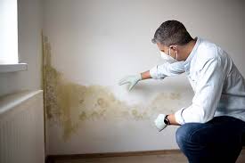 Best Mold Remediation for Healthcare Facilities  in Labelle, FL